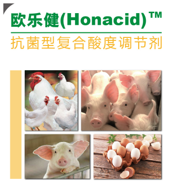 祝贺我司酸化剂产品正式投产、销售