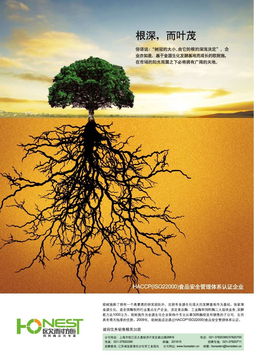 年度“最佳文案奖”